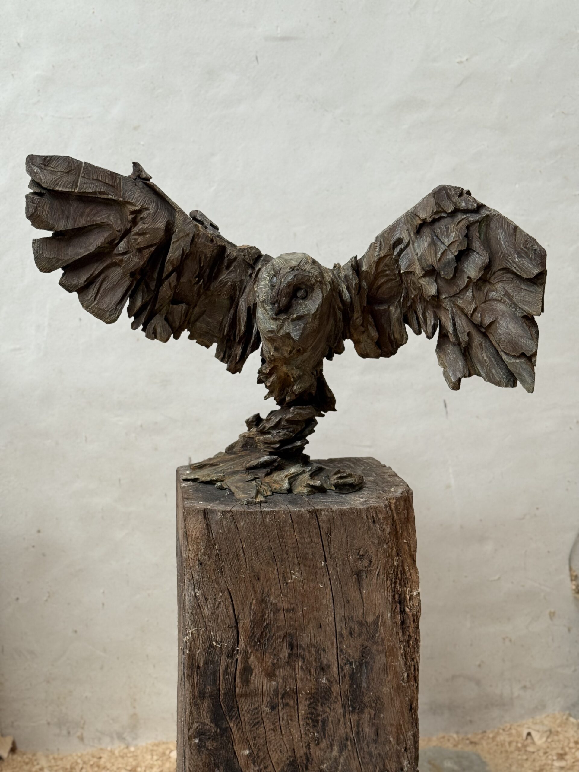 Ling-owl rising- 55x83x35-cm