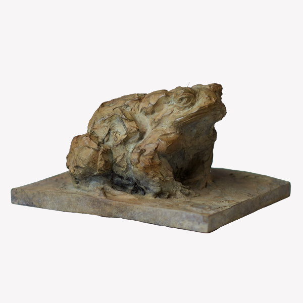 vignettes_Lingl_2025_crapaud